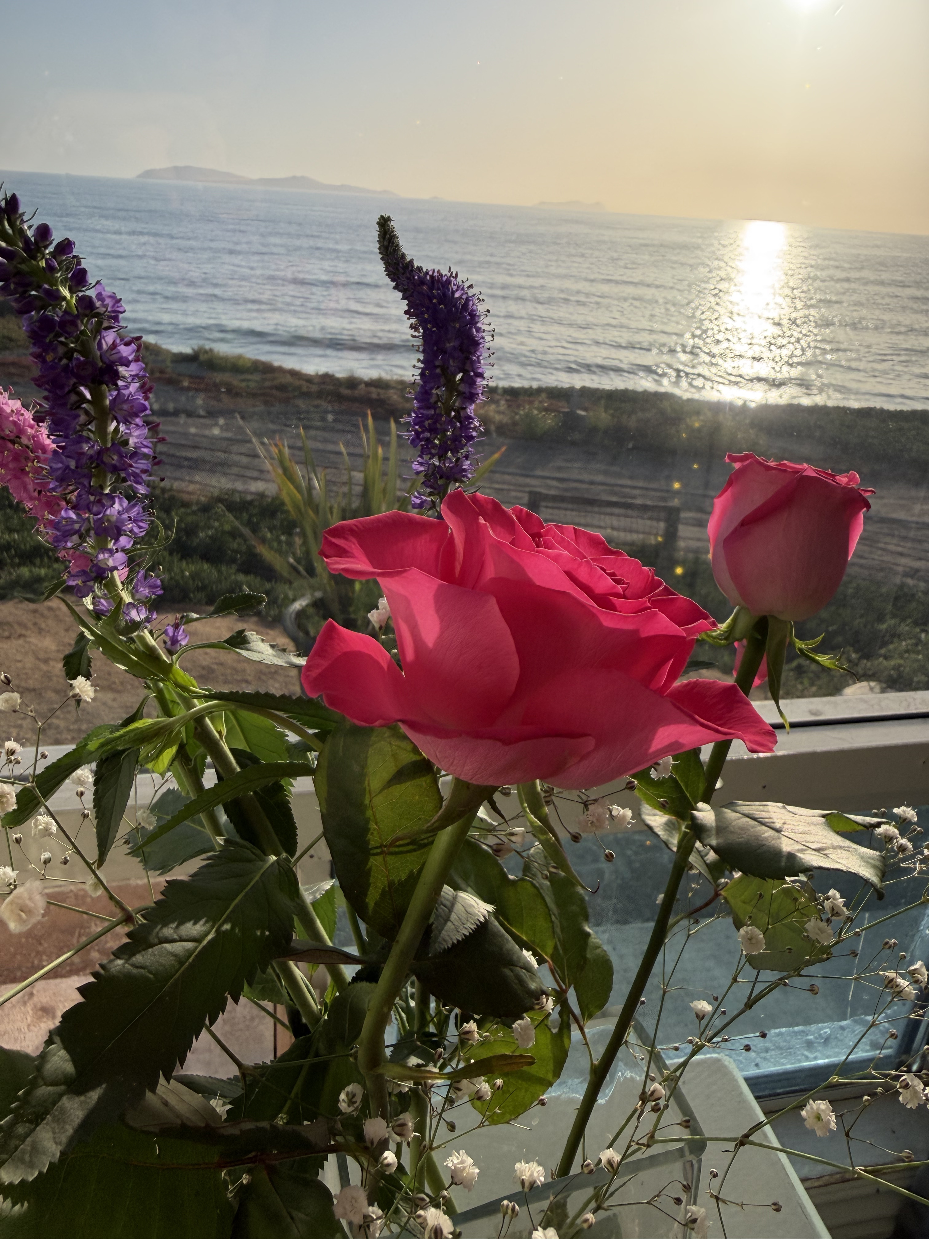 Sala de atención Playas de Tijuana